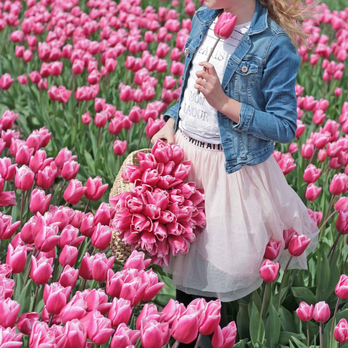 Túlipanalaukur Milkshake