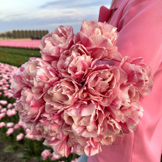 Túlipanalaukur Quinty Trustfull